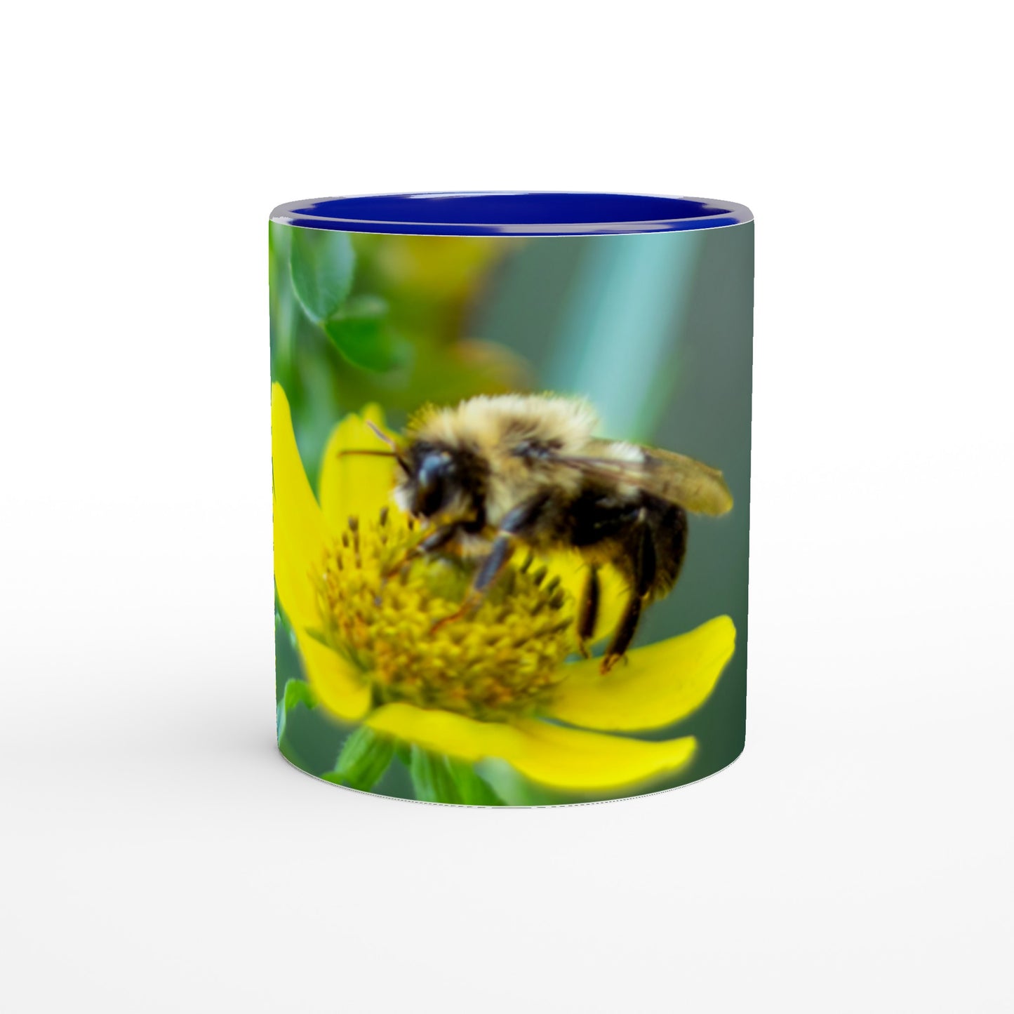 White 11oz Ceramic Mug with Color Inside